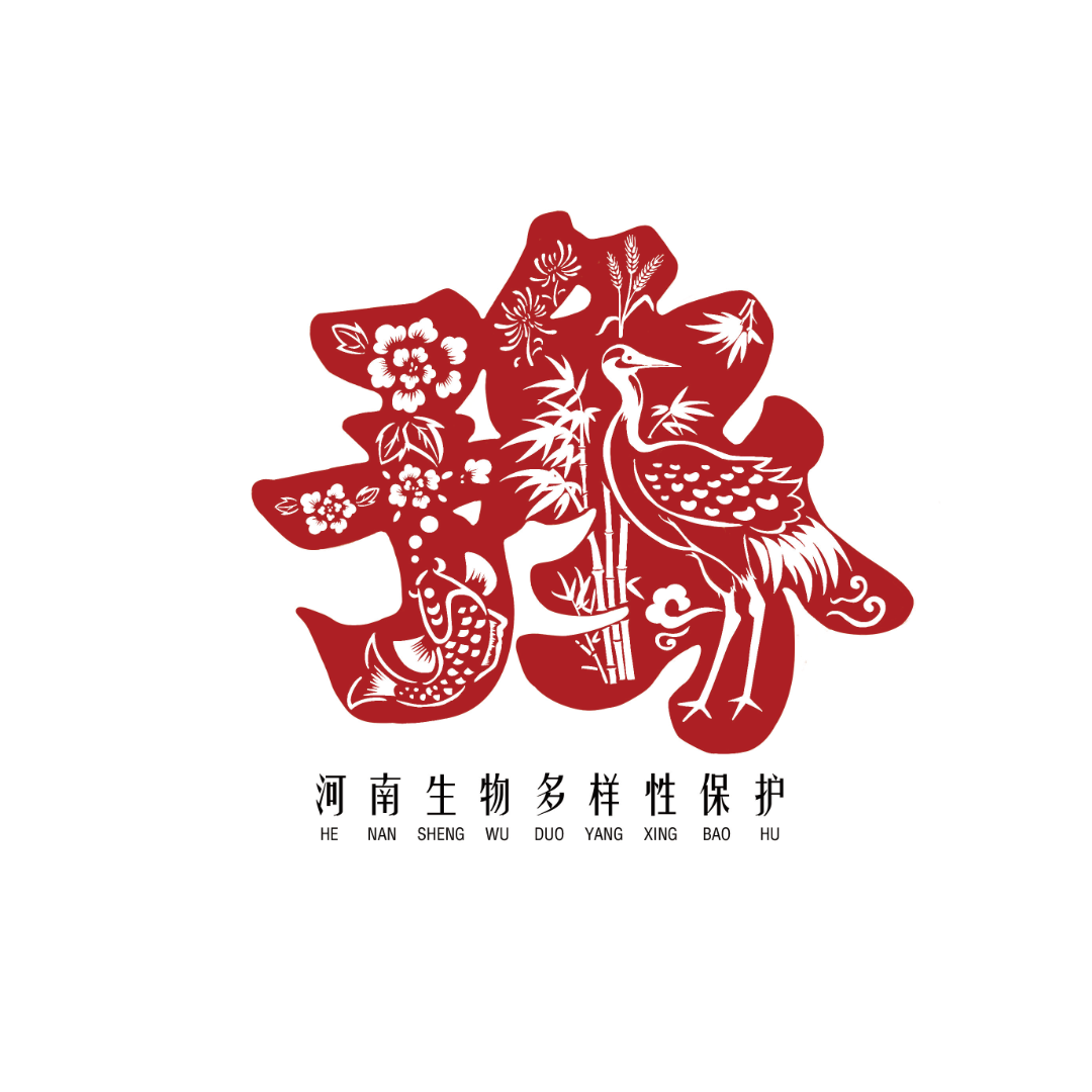 河南省生物多样性保护LOGO标志征集投票开启! 河南省生物多样性保护LOGO标志征集投票开启!.22图片