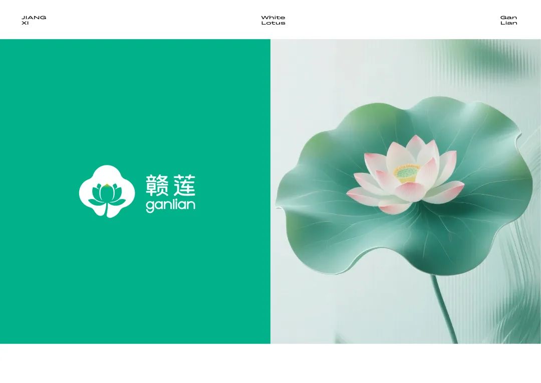 “赣莲”区域公用品牌 Logo 设计征集活动终评结果公示 “赣莲”区域公用品牌 Logo 设计征集活动终评结果公示.28图片