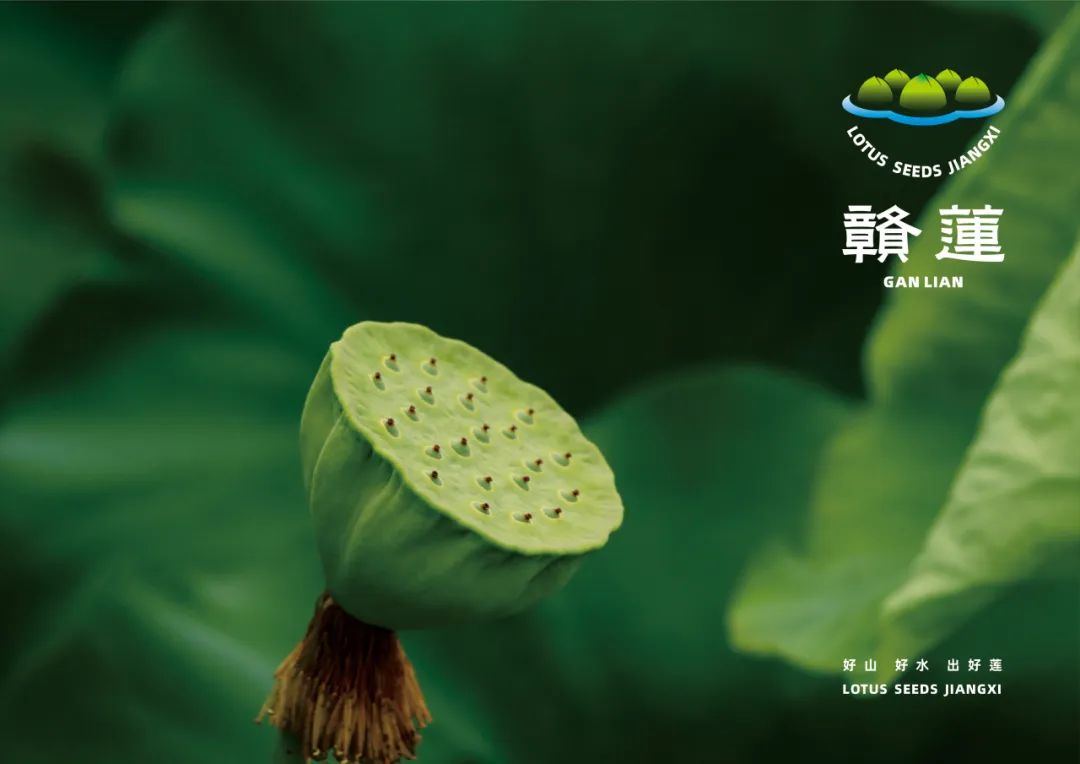 “赣莲”区域公用品牌 Logo 设计征集活动终评结果公示 “赣莲”区域公用品牌 Logo 设计征集活动终评结果公示.17图片